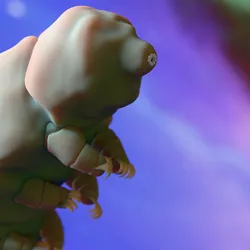 Close-up image of a tardigrade rendered in vibrant rainbow colors, showing its segmented body and multiple legs