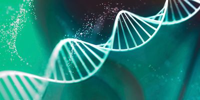 3D rendered black-and-white illustration of a human DNA double helix.