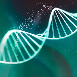 3D rendered black-and-white illustration of a human DNA double helix.