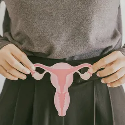 Hands holding a uterus model in front of female body.
