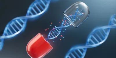DNA within a capsule.