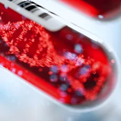 Molecule of DNA forming inside a test tube full of blood. 