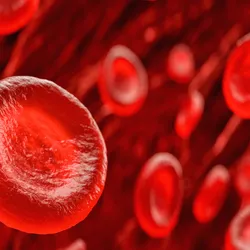 Blood cells 