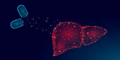 3D medical illustration of a human liver with glowing molecular structures and chemical overlays.