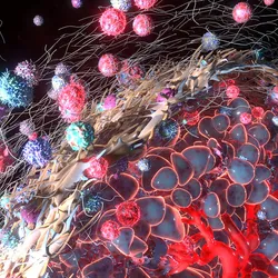 Illustration of a tumor microenvironment showing cancer cells surrounded by immune cells and extracellular structures, highlighting complex cellular interactions.