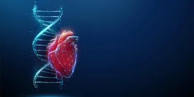 Digital illustration of a human heart intertwined with a glowing DNA helix.
