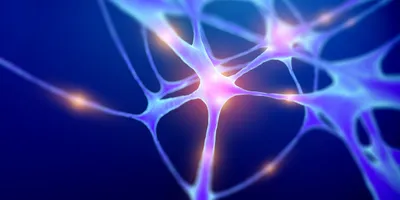 A neuron, lit up, against a blue background. 