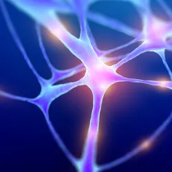 A neuron, lit up, against a blue background. 