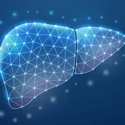 Digital illustration of a human liver shape rendered in blue tones, composed of a geometric network of interconnected lines and nodes.