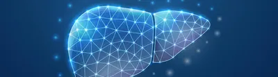 Digital illustration of a human liver shape rendered in blue tones, composed of a geometric network of interconnected lines and nodes.