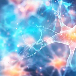 Illustration of interconnected neurons glowing with electrical activity, representing neural signaling and network communication in the brain.