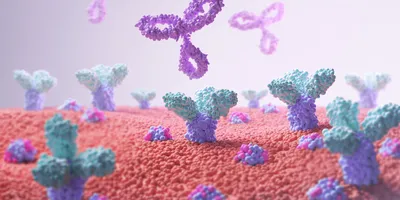 Antibodies attacking a cell. 