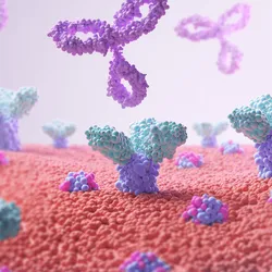 Antibodies attacking a cell. 