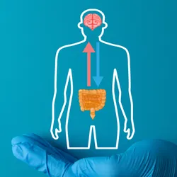 Doctor's hand holding a Gut-Brain Axis icon, symbolizing the link between the digestive system and the brain.