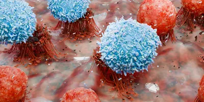 body immune response viral infection, lymphocytes, Cancer Immunotherapy, T cell and B-cell immune system fighting viruses, flagella, Dendritic or cancer tumor cells, Bacteria, 3d render