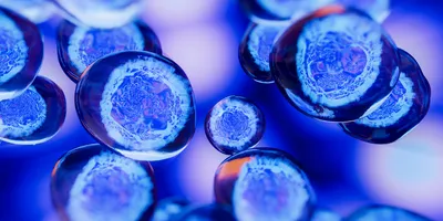 3D representation of engineered cells.