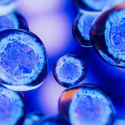 3D representation of engineered cells. 
