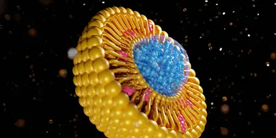3d rendering of nanomedicine inside of liposome lipid bilayer with cholesterol molecules