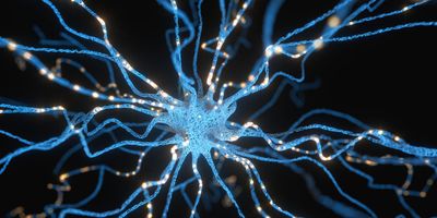 Illustration of a glowing neuron with branching axons and synaptic signals radiating across a dark background, representing neuronal network activity.