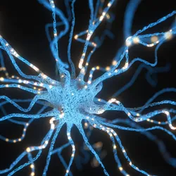 Illustration of a glowing neuron with branching axons and synaptic signals radiating across a dark background, representing neuronal network activity.