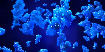 Single-molecule mass photometry enables fast, high-resolution protein characterization before structural and functional studies.
