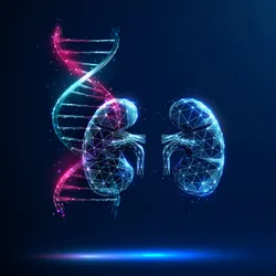 Abstract blue and purple DNA molecule helix and kidneys. Genetic biotechnology engineering concept. Low poly style. Geometric background. Wireframe light graphic connection structure. Vector.
