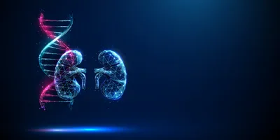 Abstract blue and purple DNA molecule helix and kidneys. Genetic biotechnology engineering concept. Low poly style. Geometric background. Wireframe light graphic connection structure. Vector.