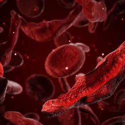 Blood flow with both normal and sickled blood cells.