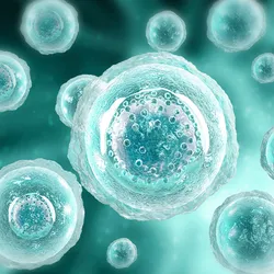 Advances in immuno-oncology