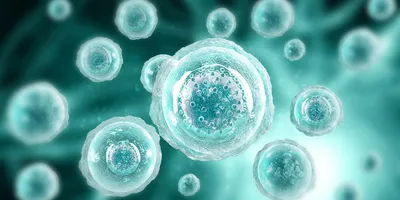 Advances in immuno-oncology