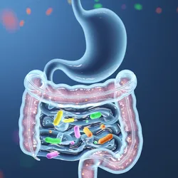 Illustration of a stomach with pink intestines with colorful microbes inside