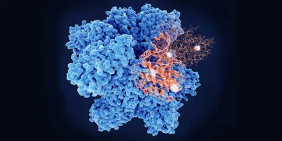 3D rendering of a large blue protein structure with orange molecular regions highlighted and labeled amino acid residues on a dark background.
