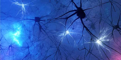 Neurons that are lit up and dark are shown on a dark blue background. 