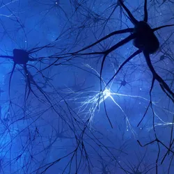 Neurons that are lit up and dark are shown on a dark blue background. 