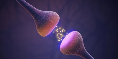 A 3D image of a synapse, with neurotransmitters being sent between neurons. 