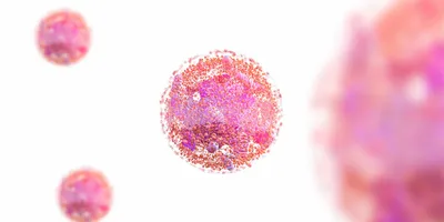 A pinkish-purple image of a human cell.