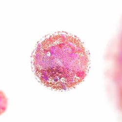 A pinkish-purple image of a human cell.