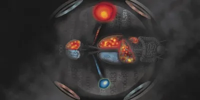 Imaging of cells in whole body magnetic particle imaging 