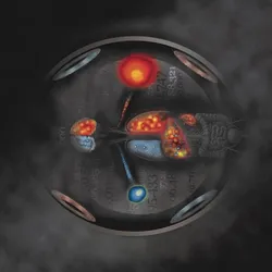 Imaging of cells in whole body magnetic particle imaging