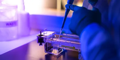 Image of gloved hand pipetting into an electrophoresis gel