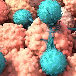 3D illustration of engineered immune cells interacting with tumor cells.