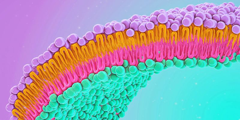 AI-designed miniproteins unlock control of GPCR signaling