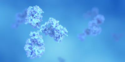 Antibody structures on a blue background. 