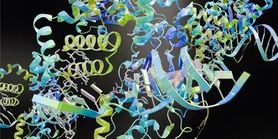 A three-dimensional molecular structure in which protein subunits and DNA are intertwined.