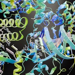 Three-dimensional molecular structure showing intertwined protein subunits and DNA.