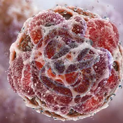 3D rendering of a spherical cancer model showing complex cellular architecture against a soft pink background.