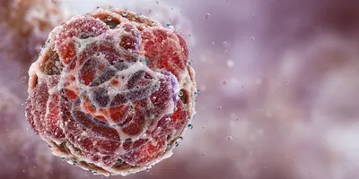 3D rendering of a spherical cancer model showing complex cellular architecture against a soft pink background.