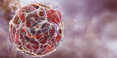 3D rendering of a spherical cancer model showing complex cellular architecture against a soft pink background.