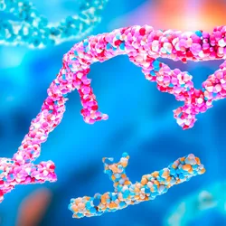 A DNA helix with a broken strand.