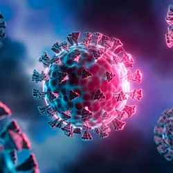 3D images of coronaviruses. 